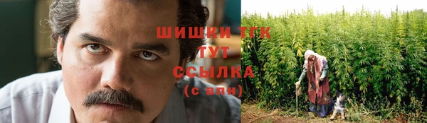 стаф Бронницы