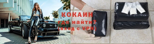 спиды Богородицк