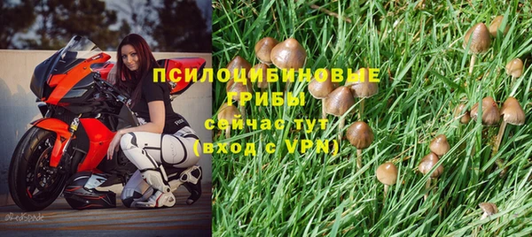 таблы Богородск