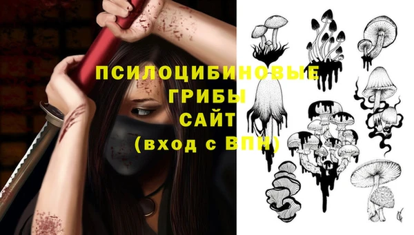 ешки Бугульма