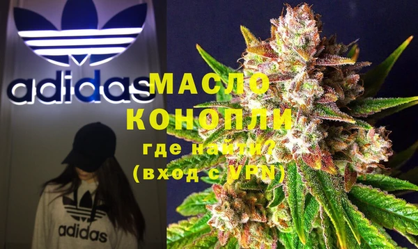 спиды Богородицк