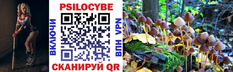дарнет шоп  Гулькевичи  Галлюциногенные грибы MAGIC MUSHROOMS 